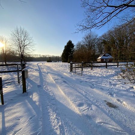 Vakantiewoning Heidebos In Het Nationaal Park Hoge Kempen Opglabbeek Eksteriør bilde