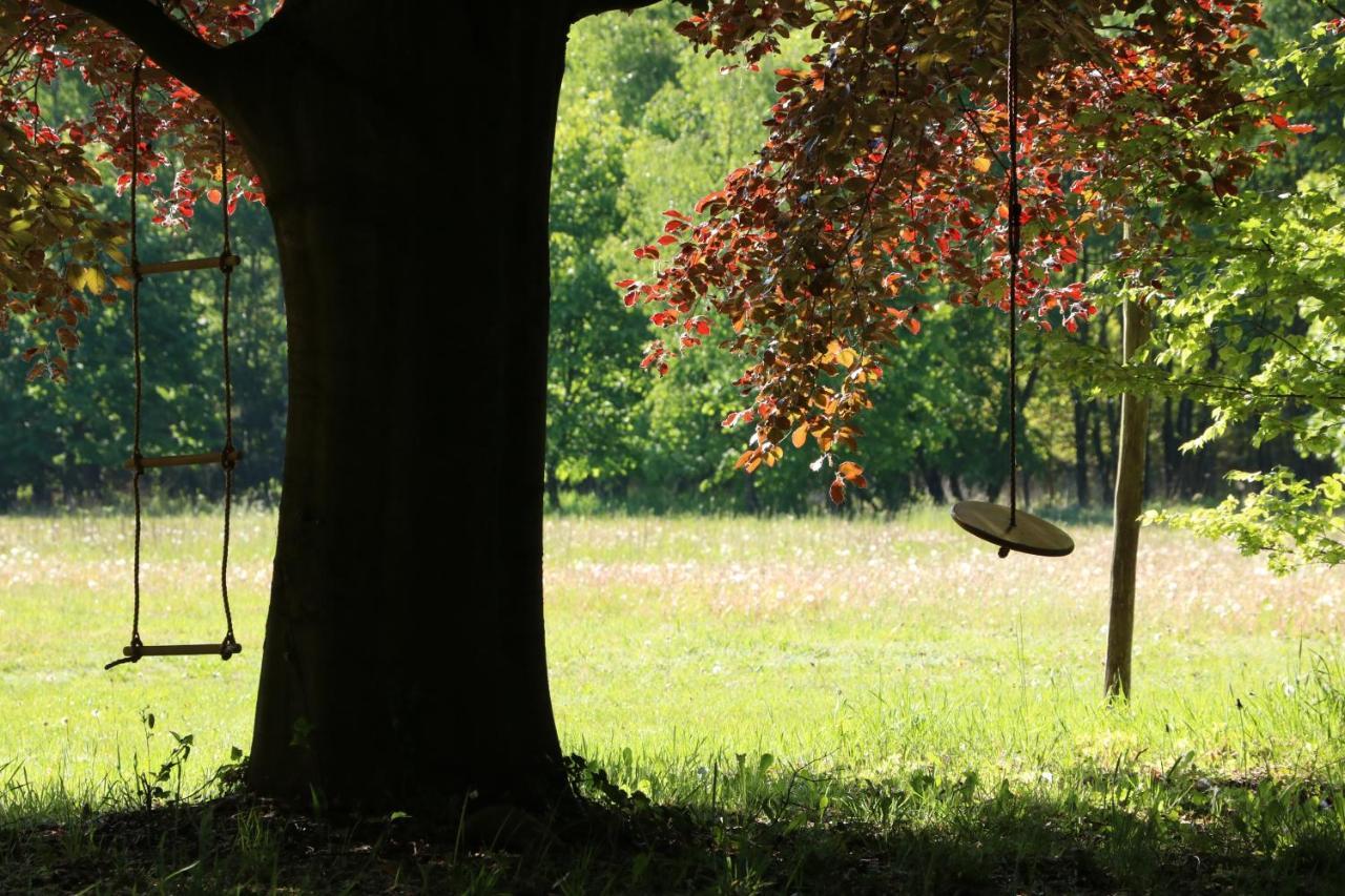 Vakantiewoning Heidebos In Het Nationaal Park Hoge Kempen Opglabbeek Eksteriør bilde