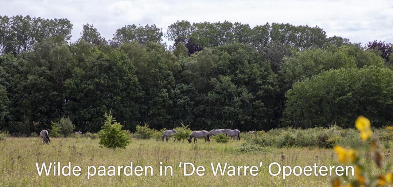 Vakantiewoning Heidebos In Het Nationaal Park Hoge Kempen Opglabbeek Eksteriør bilde
