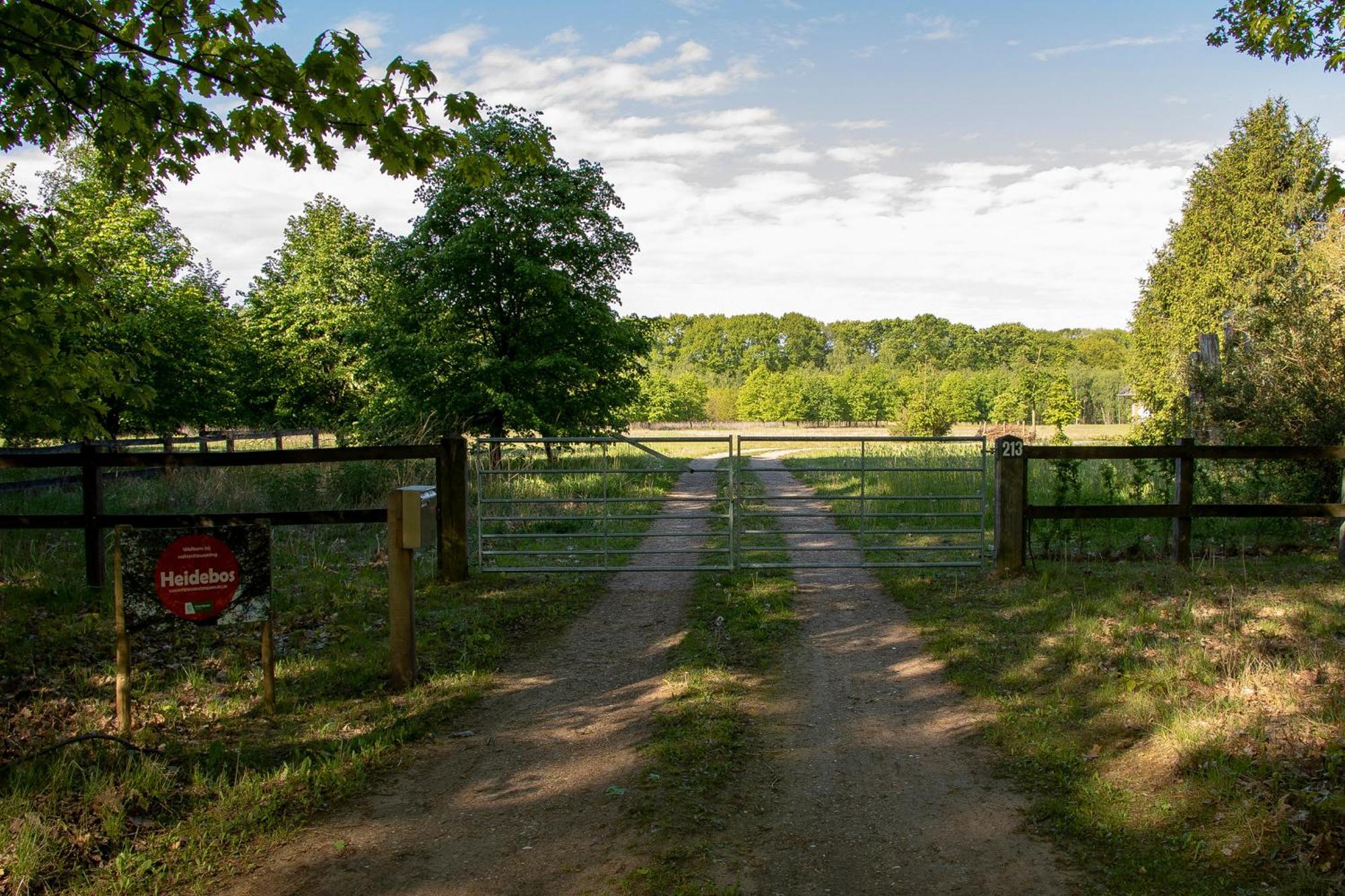 Vakantiewoning Heidebos In Het Nationaal Park Hoge Kempen Opglabbeek Eksteriør bilde