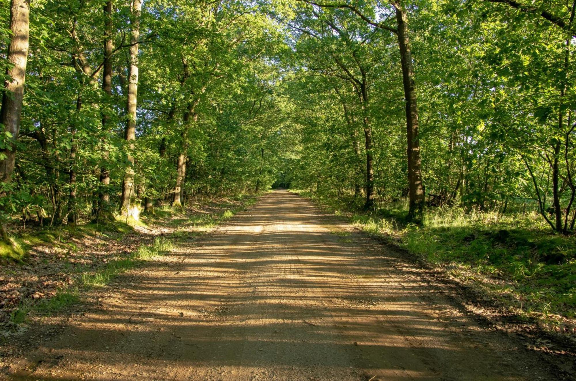 Vakantiewoning Heidebos In Het Nationaal Park Hoge Kempen Opglabbeek Eksteriør bilde