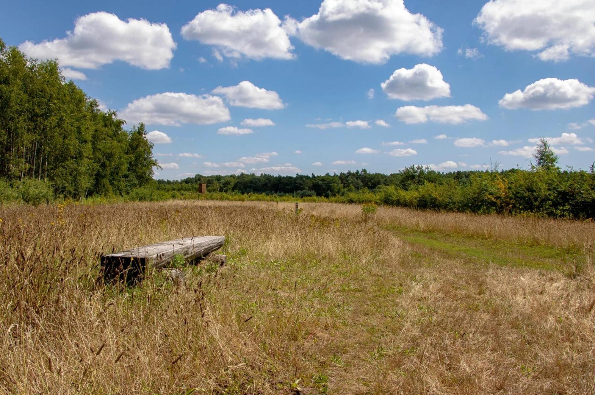 Vakantiewoning Heidebos In Het Nationaal Park Hoge Kempen Opglabbeek Eksteriør bilde