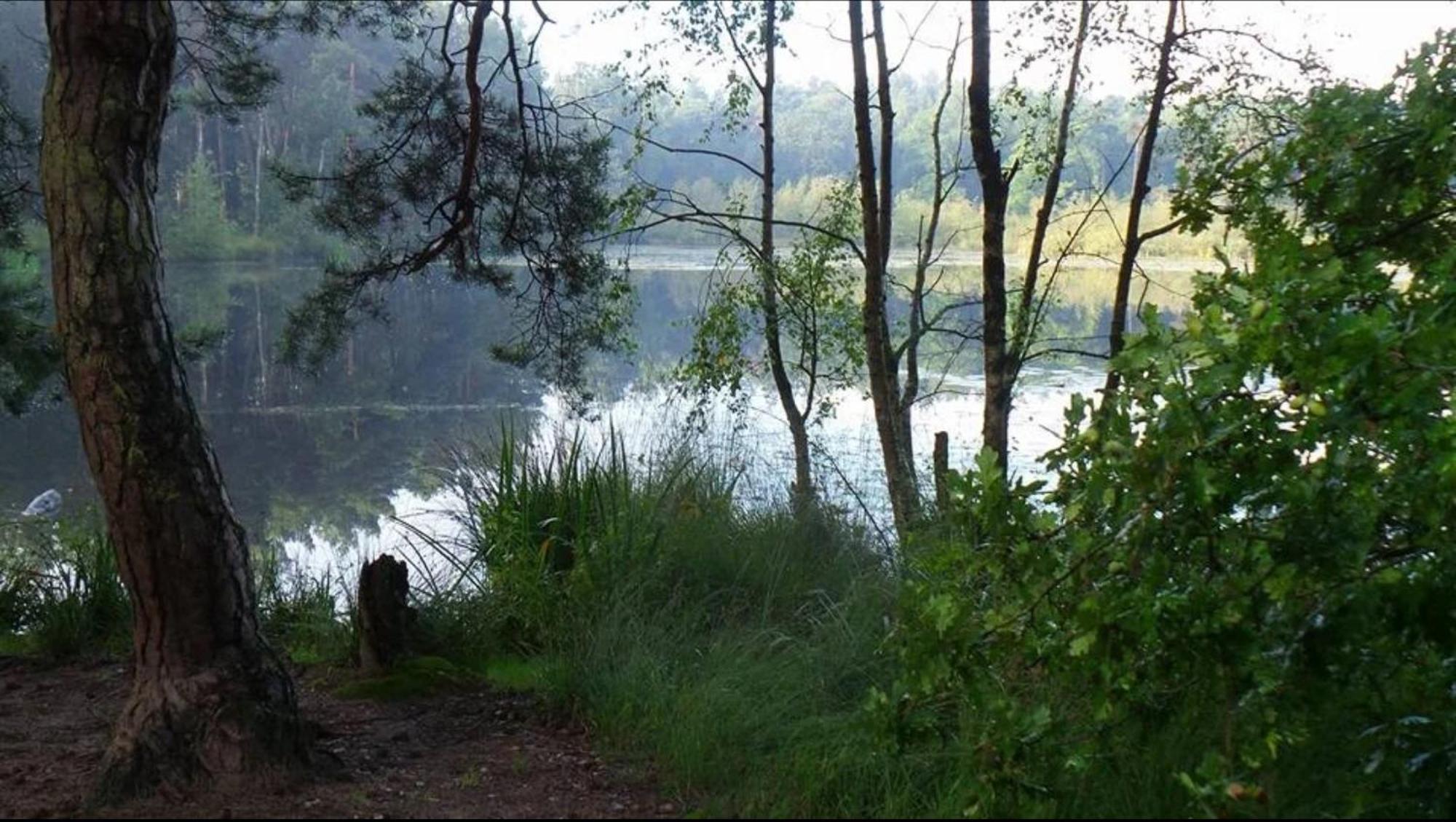 Vakantiewoning Heidebos In Het Nationaal Park Hoge Kempen Opglabbeek Eksteriør bilde