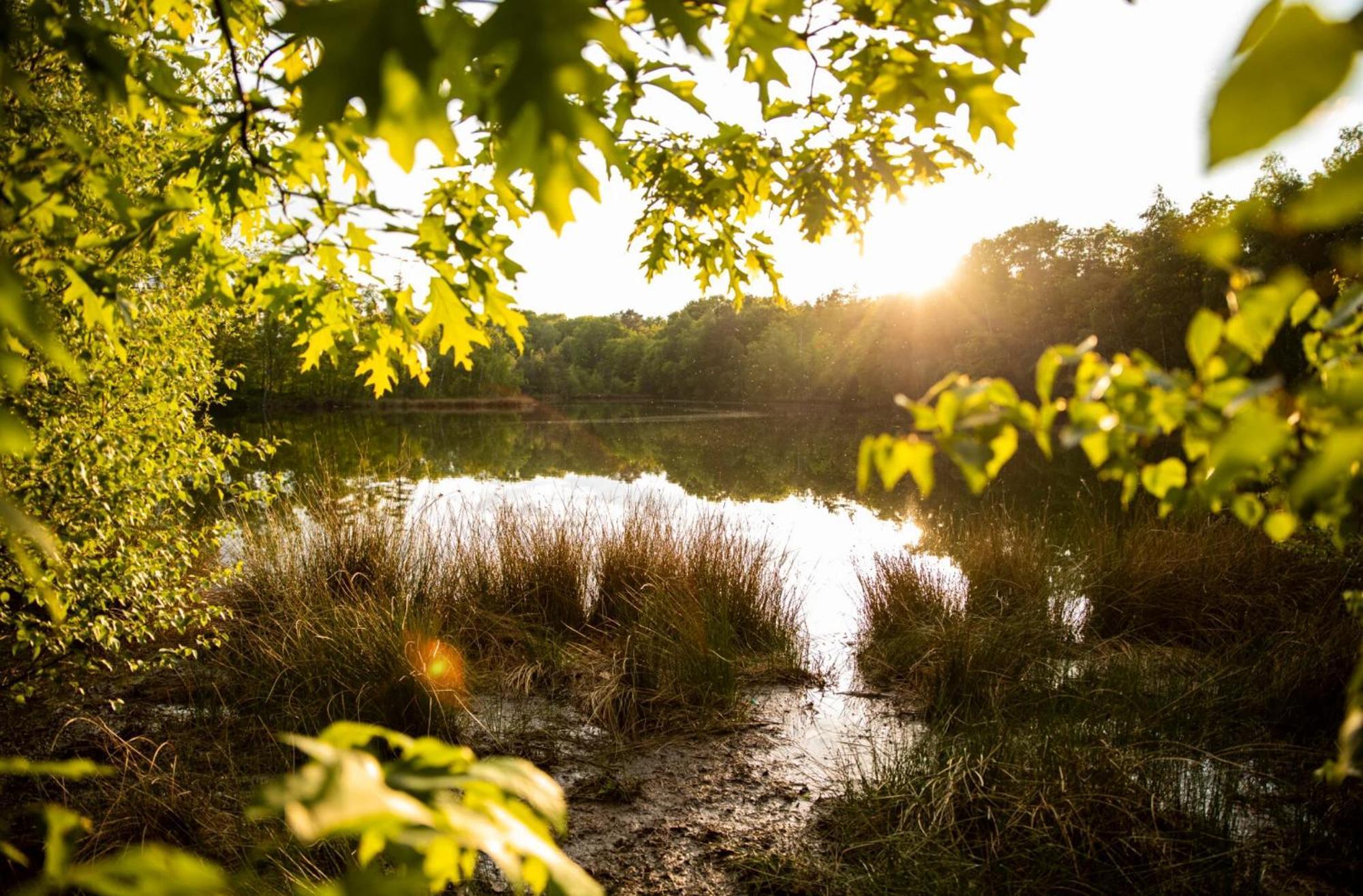 Vakantiewoning Heidebos In Het Nationaal Park Hoge Kempen Opglabbeek Eksteriør bilde