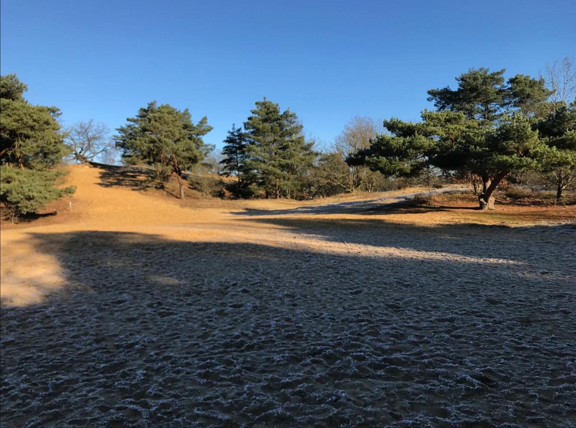 Vakantiewoning Heidebos In Het Nationaal Park Hoge Kempen Opglabbeek Eksteriør bilde
